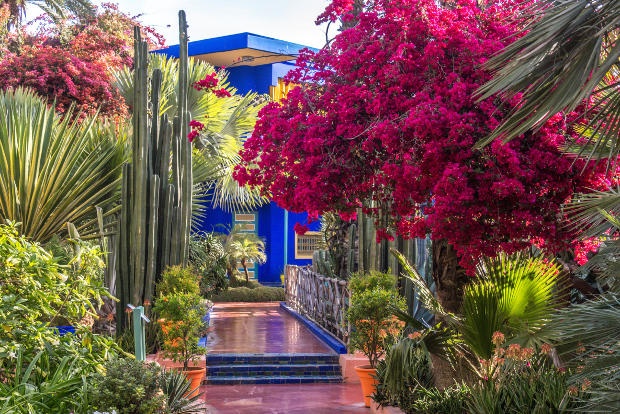 Colourful garden in front of a bright blue building