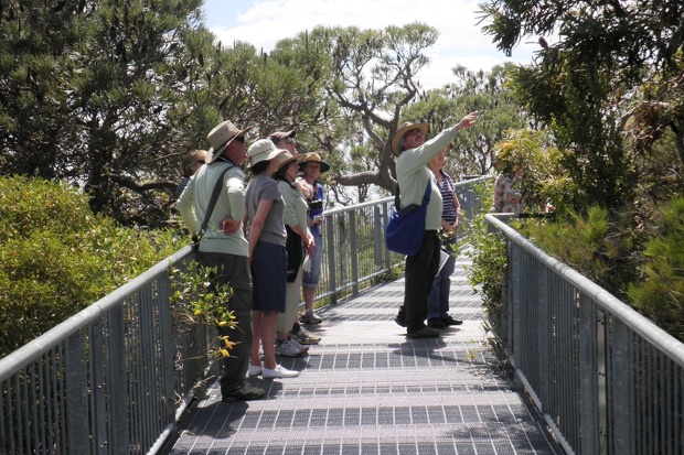 a group of people in light green shirt with straw hats are doing a nature sightseeing on top of a narrow gray bridge