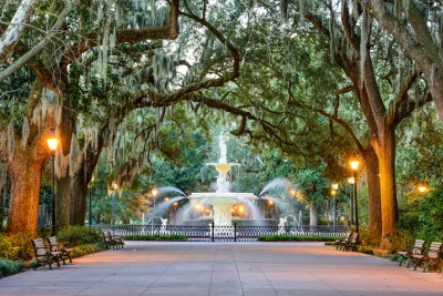 A path of trees and lights leading to a running white fountain 