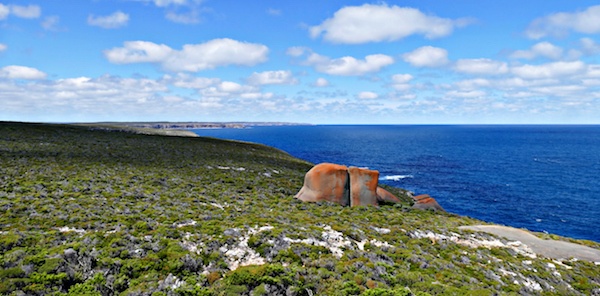 A peaceful scenery in kangaroo Island overlooking the ocean