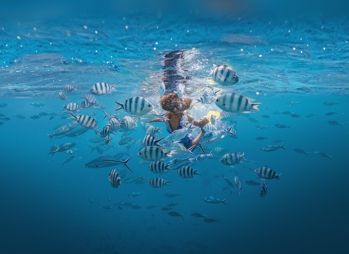 a woman swimming across the ocean with a school of black striped silver fish