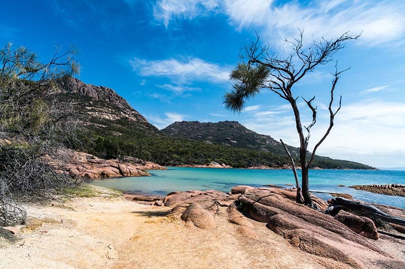 honeymoon bay in freycinet national park 