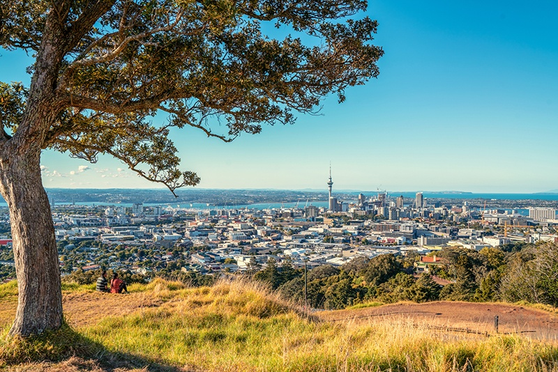 mount eden view