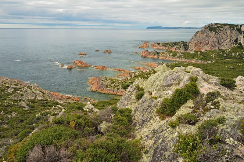 rocky cape tasmania