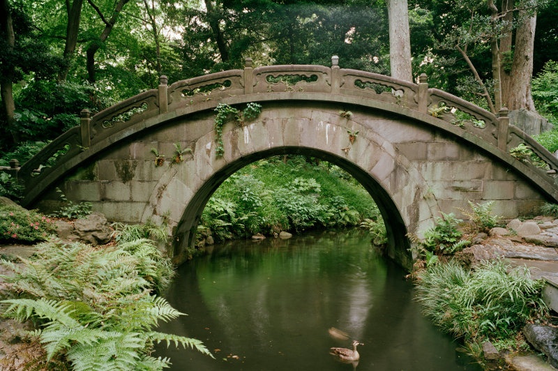 half-moon bridge