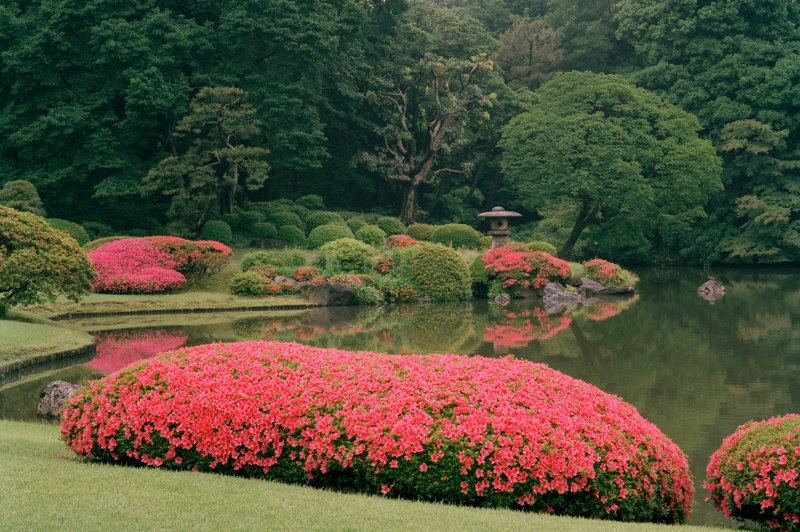 gardens in bloom