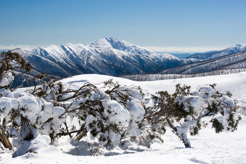 Mount Hotham in winter snow Victoria Australia