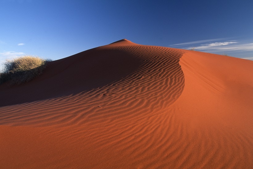 Red dunes of the Simpson Desert.