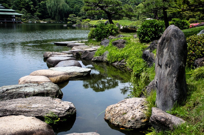 rocks in pond in park