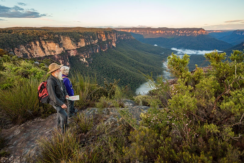 couple enjoying the view of the forest on a mountain top