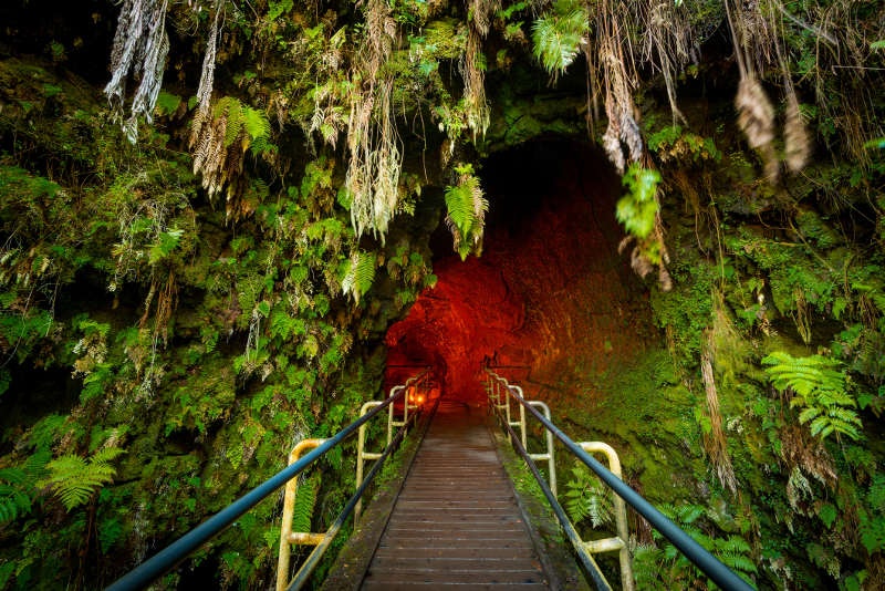 Opening of a cave within the forest