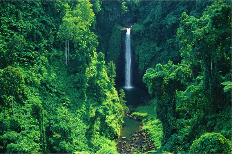 Pristine natural waterfall rainforest, Samoa