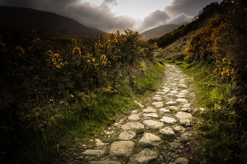 cobbled path, english countryside