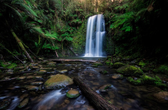 Rainforest waterfall view surrounded by greenery and rocks 