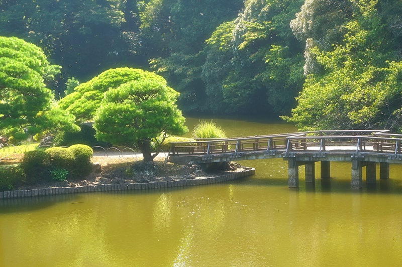 wooden bridge over water