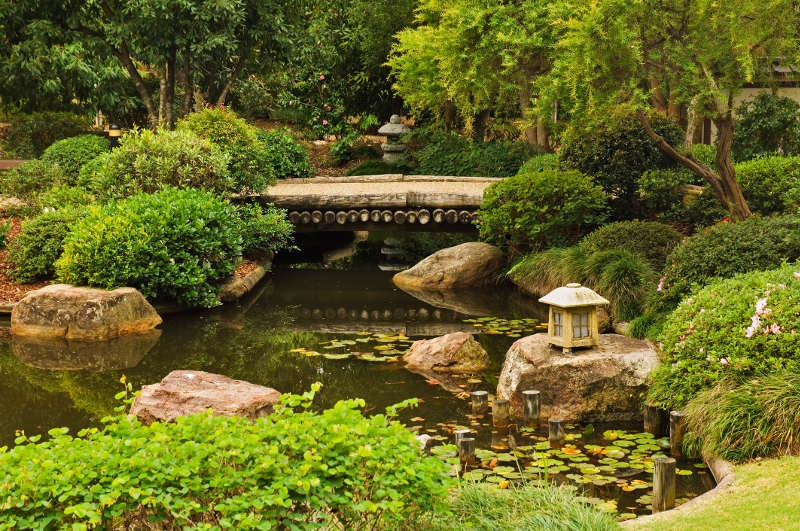 japanese garden with bridge