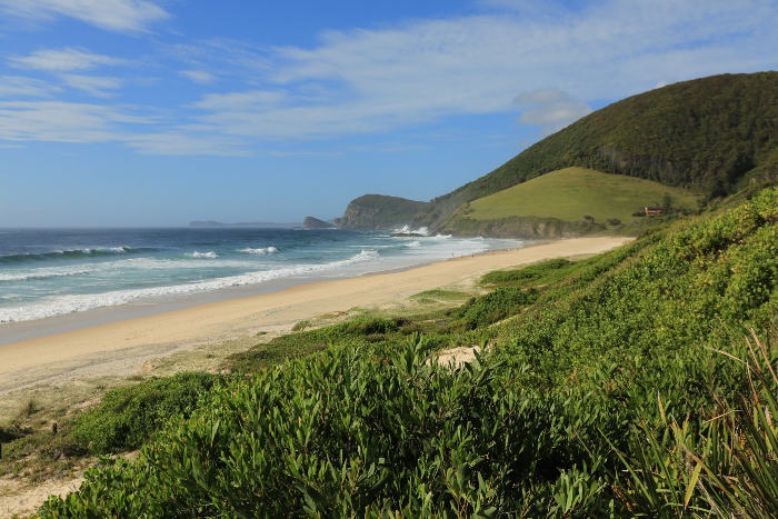 Bueys beach new south whales