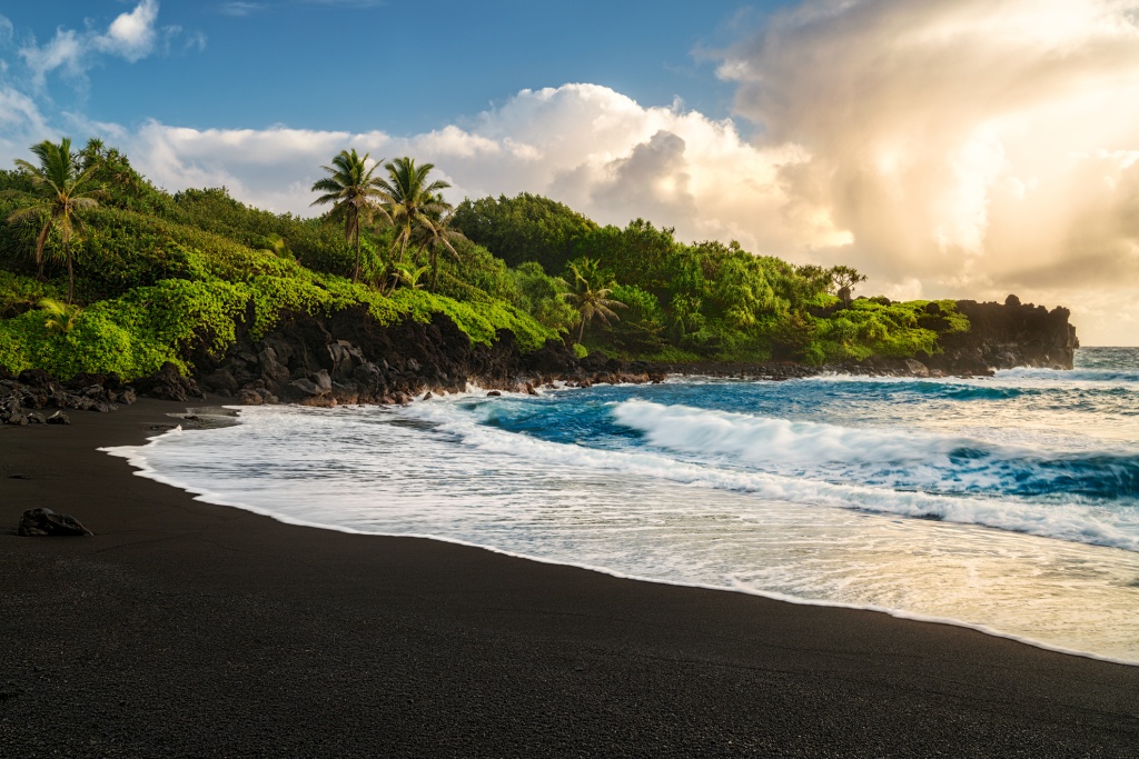 One unique black sand beach with a a forest beside it and the wonderful wave going back and forth