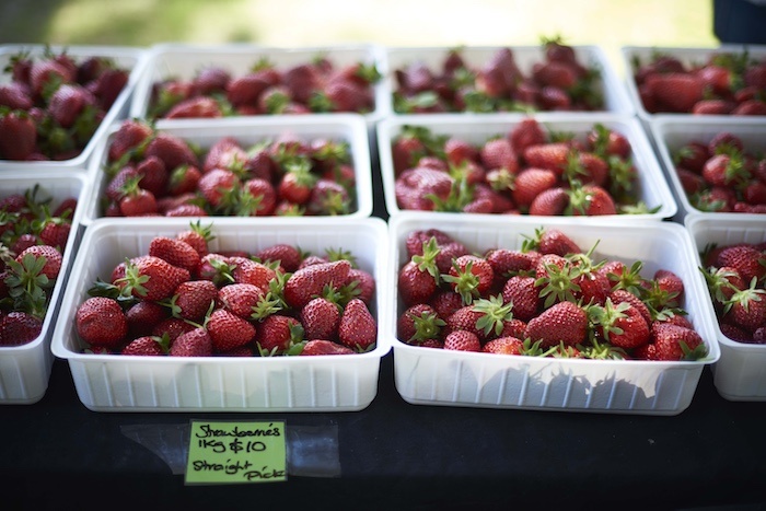 things to do NZ that aren't skiing - Hawkes Bay Farmers Market strawberries