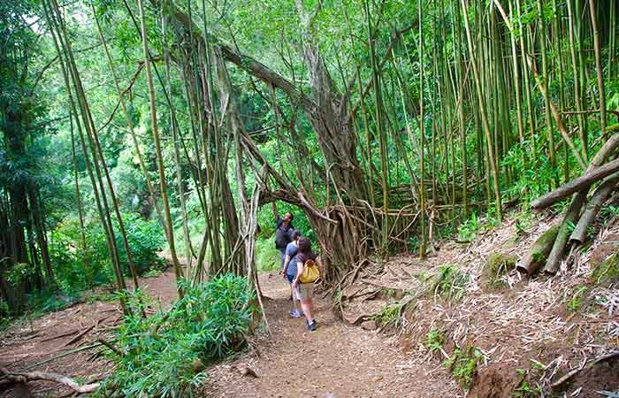 Hiking to the local waterfalls, top things to do in Hawaii