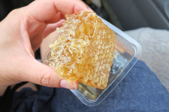 Stradbroke Island Honey Comb