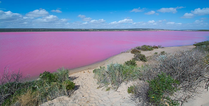 Hutt Lagoon, Coral Coast Road Trip, WA