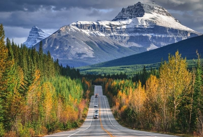 Image of Icefield Parkway, Alberta with a road going towards snowy mountains.