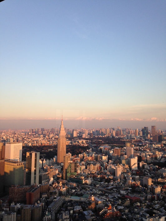 Sun setting over the populous skyline of Tokyo