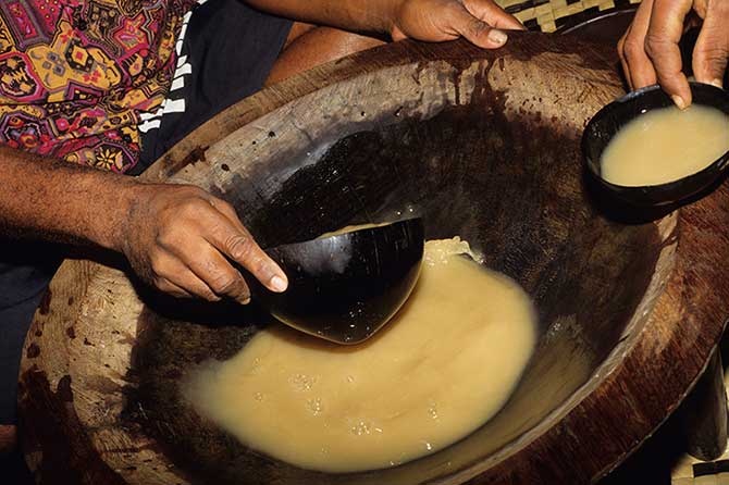 Kava is a popular traditional drink in Fiji, made from a tree root