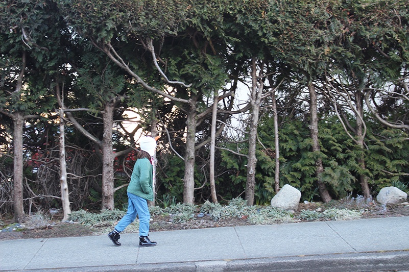 Girl walking across hedges in street