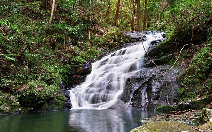 Kondalilla Falls sunshine coast hinterland