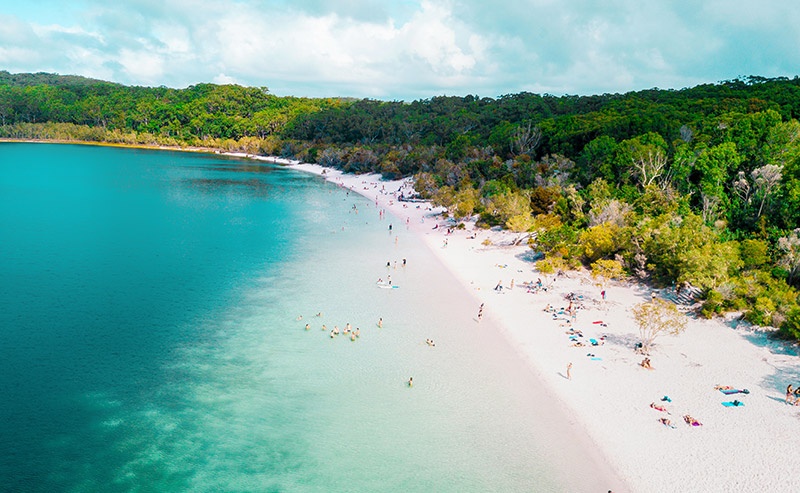 beach with a very clear water and a forest full of trees