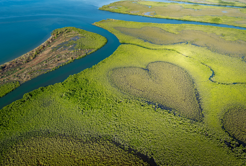 Aerial view of the mangroves of New Caledonia form the shape of a heart