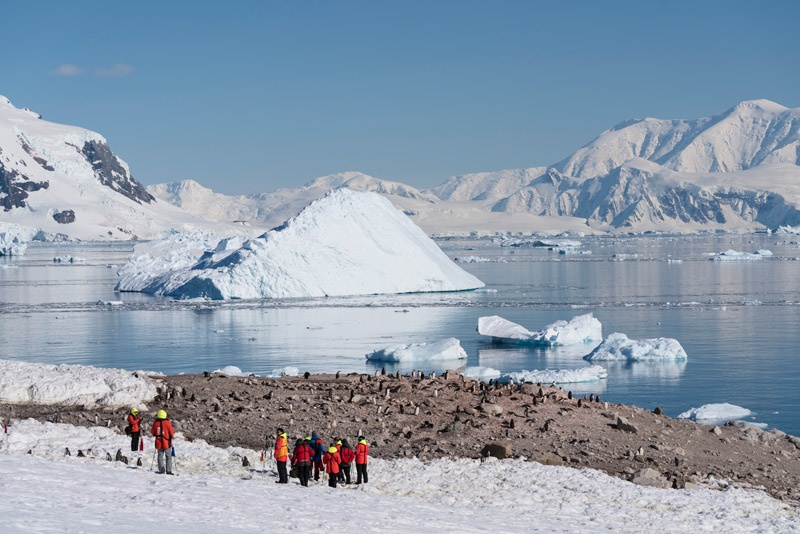 Neko Harbour Image: Chelsea Claus for Hurtigruten