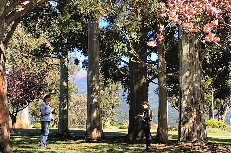 Two people using smartphones in a Queenstown park.