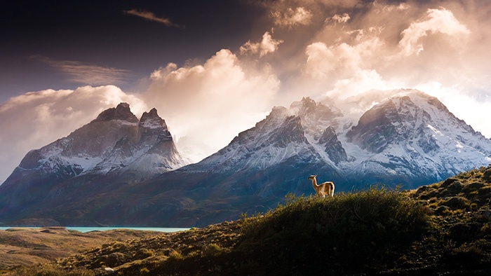 patagonia's top sights - torres del paine