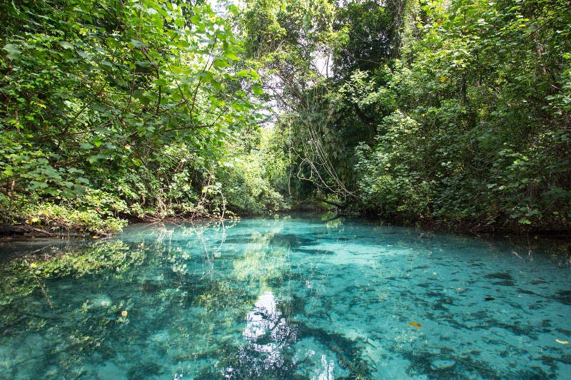 blue hole waterhole, Vanuatu