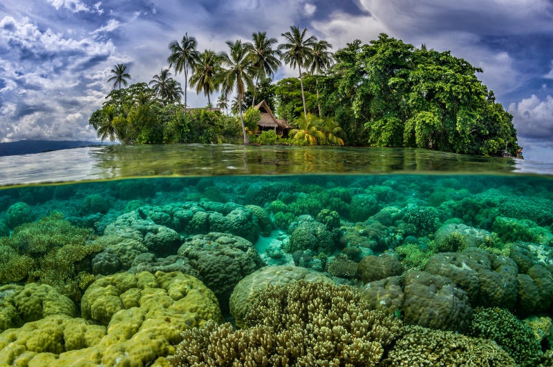 tropical island in the Solomon Islands