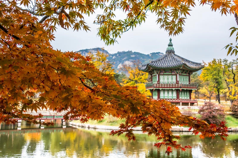 autumn colours south korea