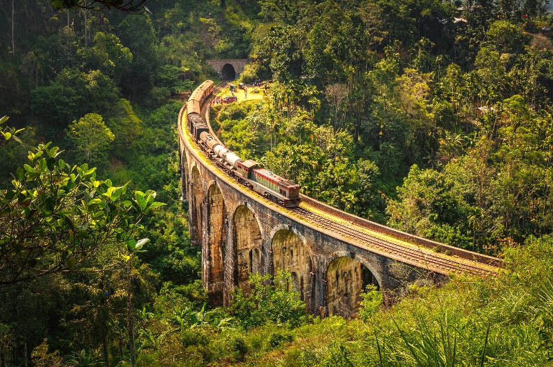 A train crosses the Demodara Nine Arch Bridge in Sri Lanka.