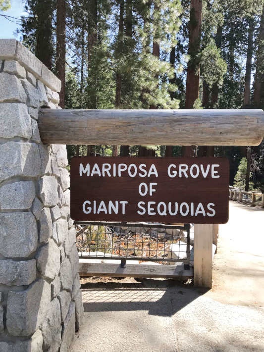 A wooden sign that reads &quot;Mariposa grove of giant sequoias&quot;