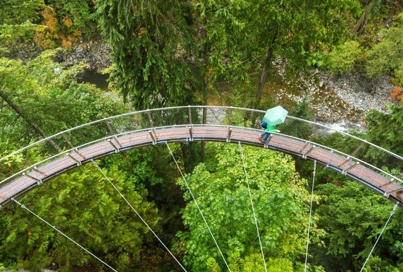 Image of suspension bridge through the forest with a person walking on it.