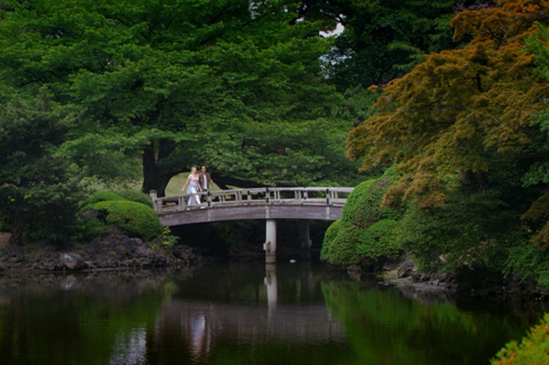 Shinjuku Gyoen National Garden