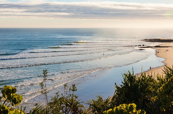 An elevated view of the beach and waves at Snapper Rocks