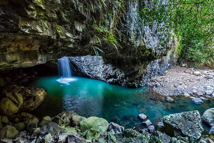 natural bridge springbrook