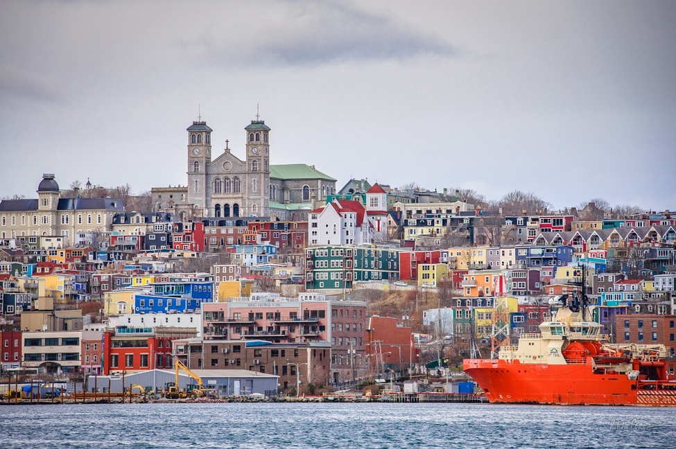 St John's from the harbour