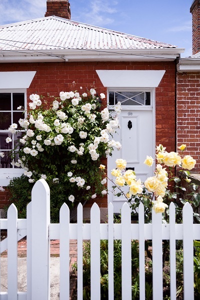 roses outfront of brick house in hobart