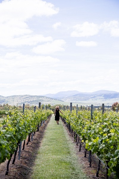 girl in vineyards in hobart