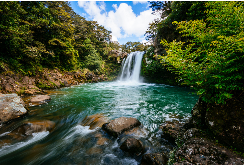 Tawhai falls view