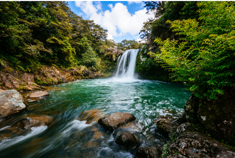 Tawhai falls view 